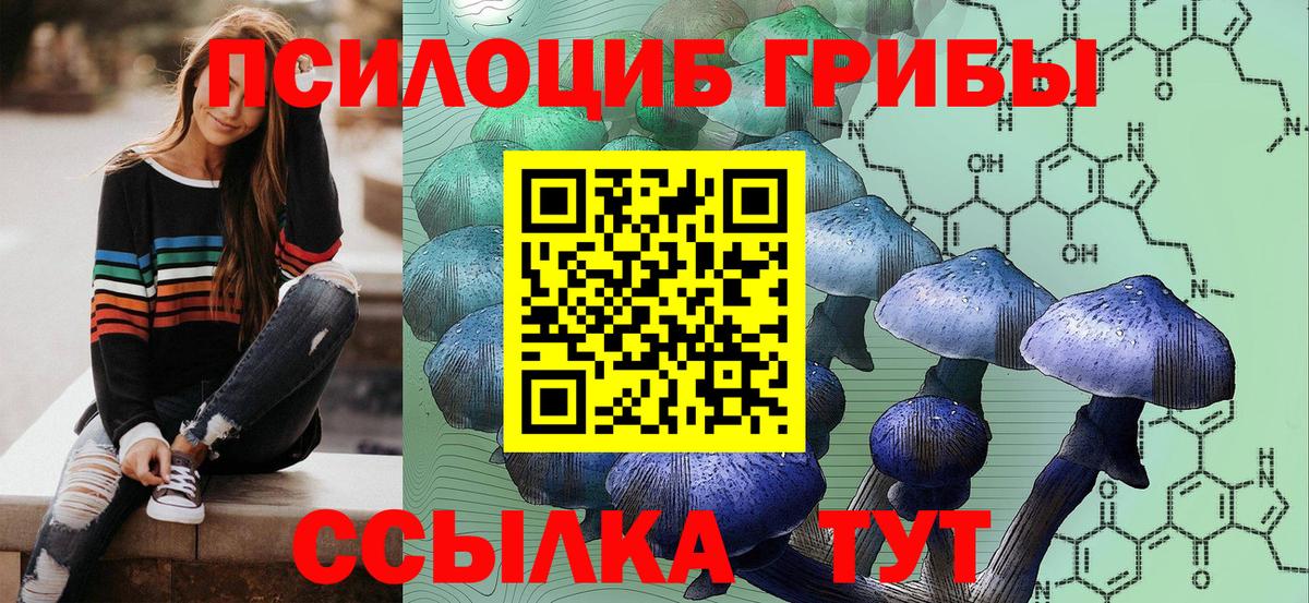 Псилоцибиновые грибы MAGIC MUSHROOMS  Псилоцибиновые грибы Psilocybe  Архангельск 