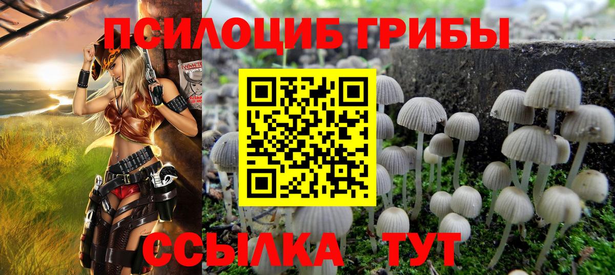 Архангельск  Галлюциногенные грибы Psilocybine cubensis  Вход с VPN 